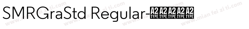 SMRGraStd Regular字体转换